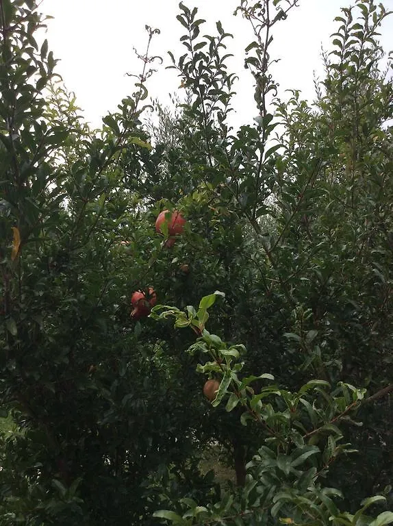 Casa di campagna Locanda dei Rii Solarolo