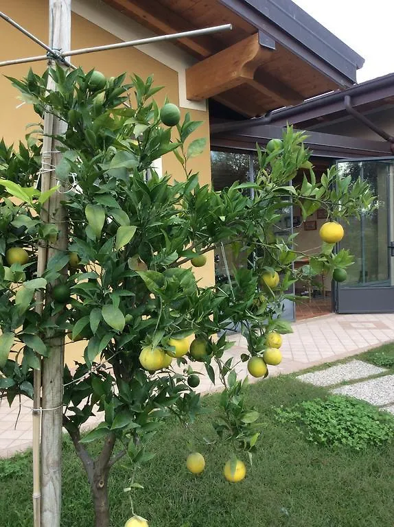 Locanda Dei Rii Solarolo